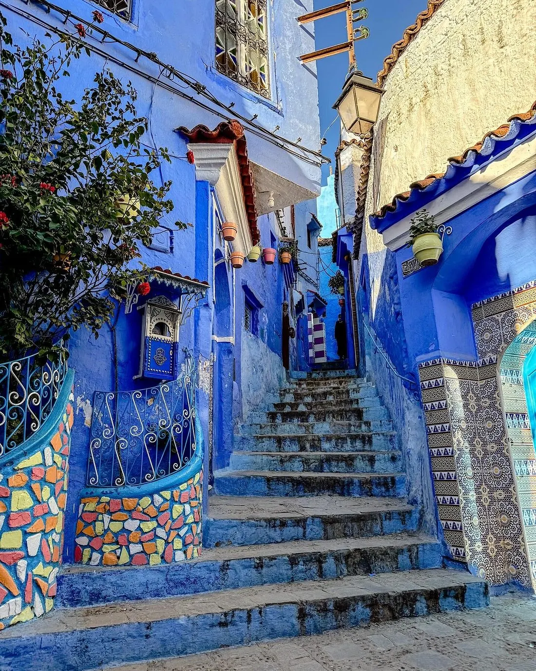 A blue-painted staircase alley in the Chefchaouen medina, quiet in the morning light