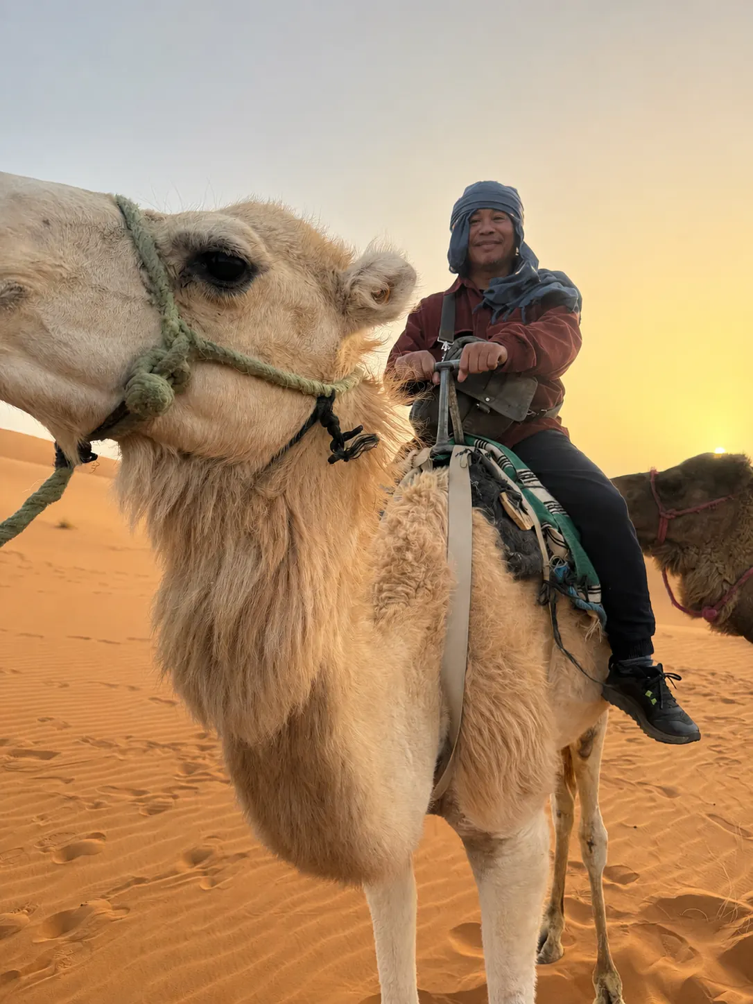 Camel ride into the Erg Chebbi dunes at sunset