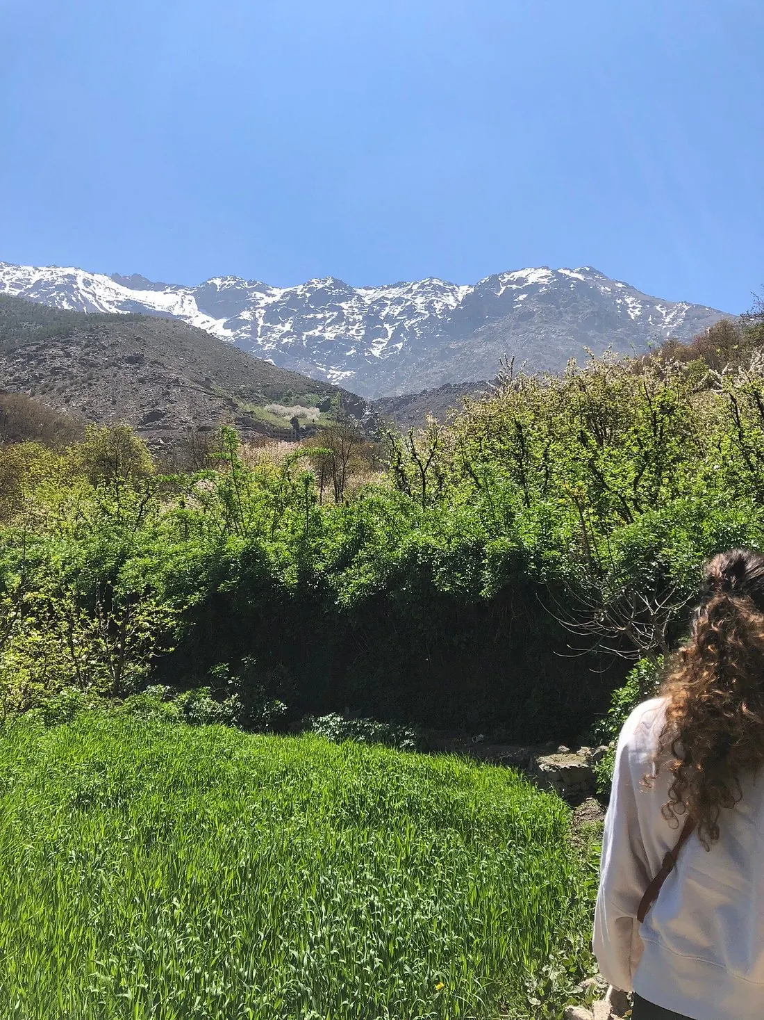 Traveller walking through the High Atlas Mountains in spring, green valleys below