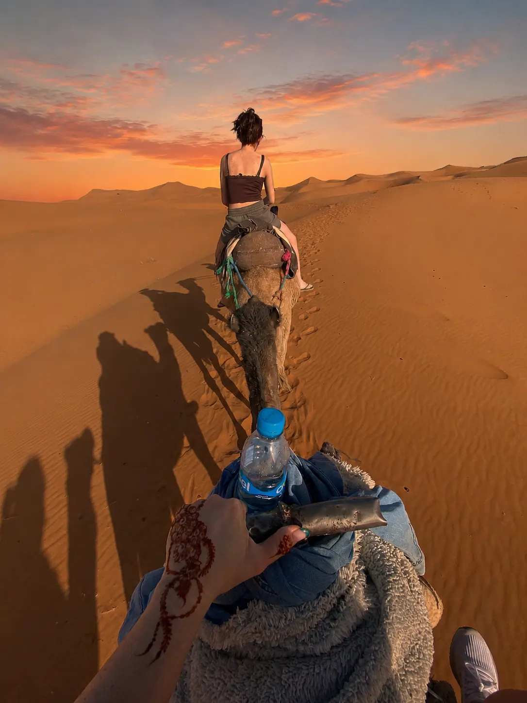 Camel ride into the Sahara at sunset, personal perspective from the saddle