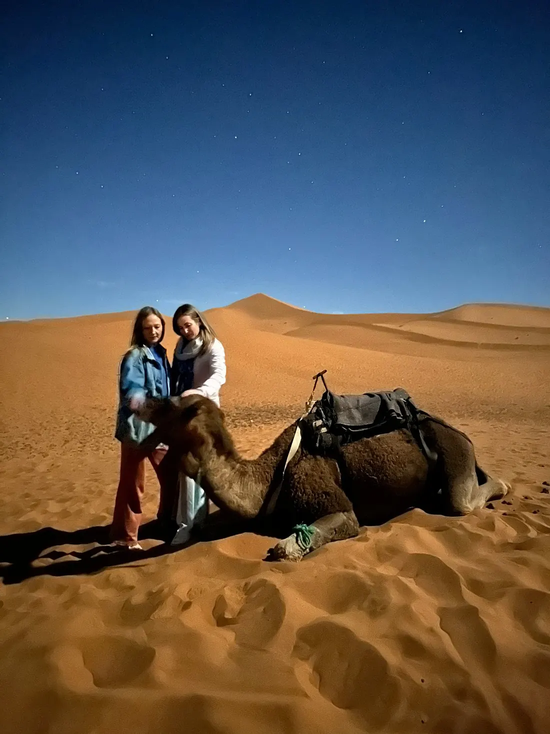 Two travellers with a resting camel in the Erg Chebbi desert under a starry sky