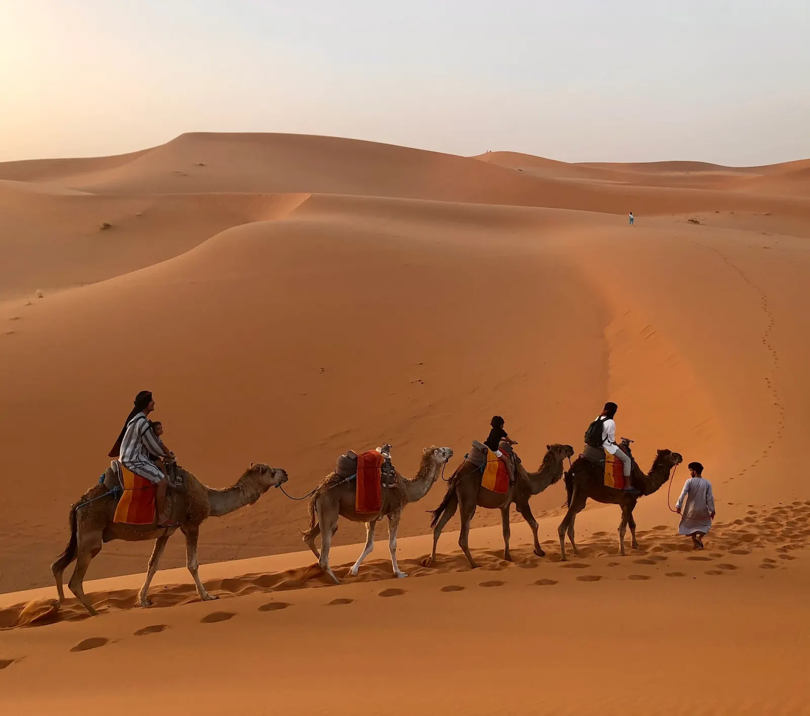 A camel caravan moving across golden desert dunes toward a distant camp