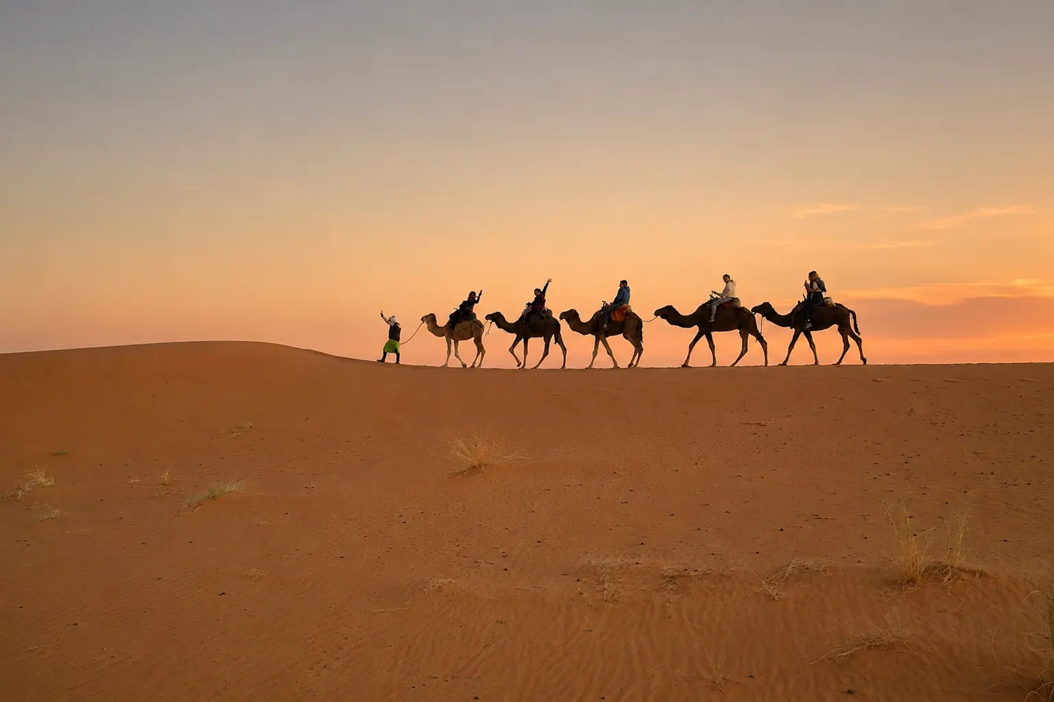 Camel caravan silhouetted against the desert sky at sunset
