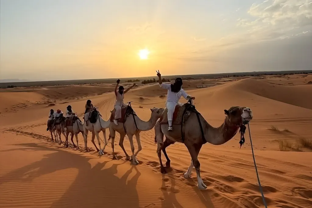 Camel caravan crossing golden Sahara dunes at sunset in Morocco